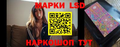 СК Ставрополь
