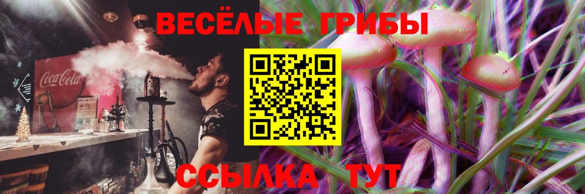 Псилоцибиновые грибы ЛСД  Вход с VPN  Тихорецк 