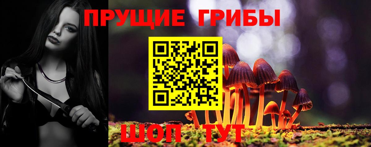 Псилоцибиновые грибы прущие грибы Тихорецк